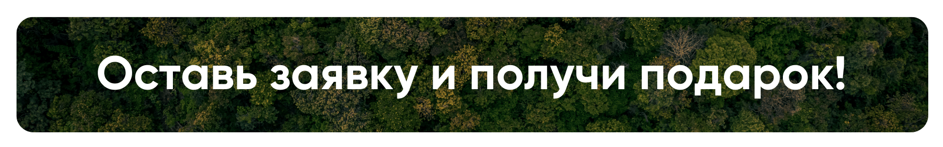 Оставь заявку и получи подарок