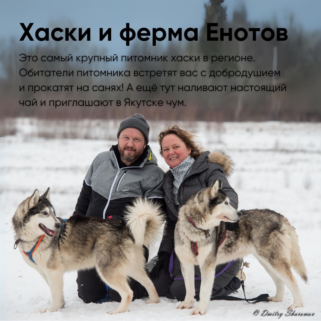 Путешествие в питомник хаски