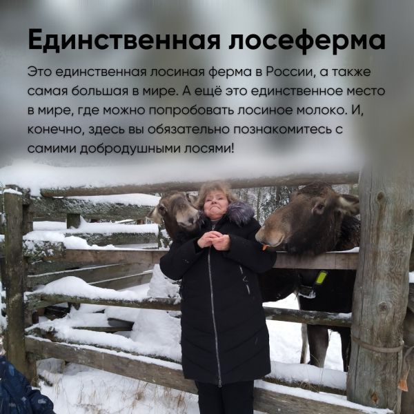 Экскурсия на Лосеферму с детьми