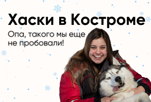 Хаски-центр Северное сияние Костромы