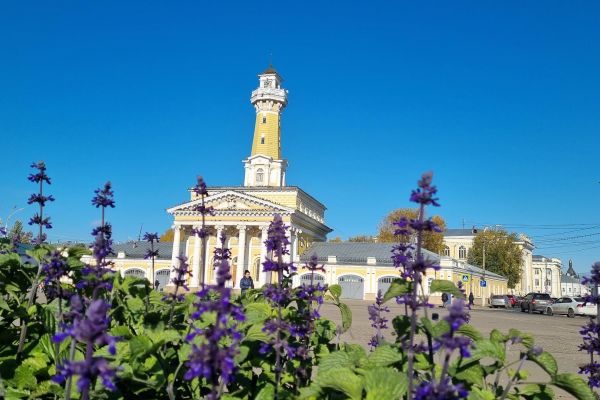 День в Костроме. Обзорная экскурсия, лосеферма, музей Сыра.