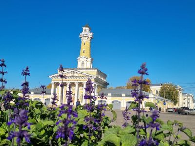 День в Костроме. Обзорная экскурсия, лосеферма, музей Сыра.
